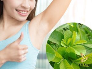 Thẩm mỹ viện Kangdong