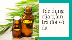 Tác dụng của tràm trà đối với da